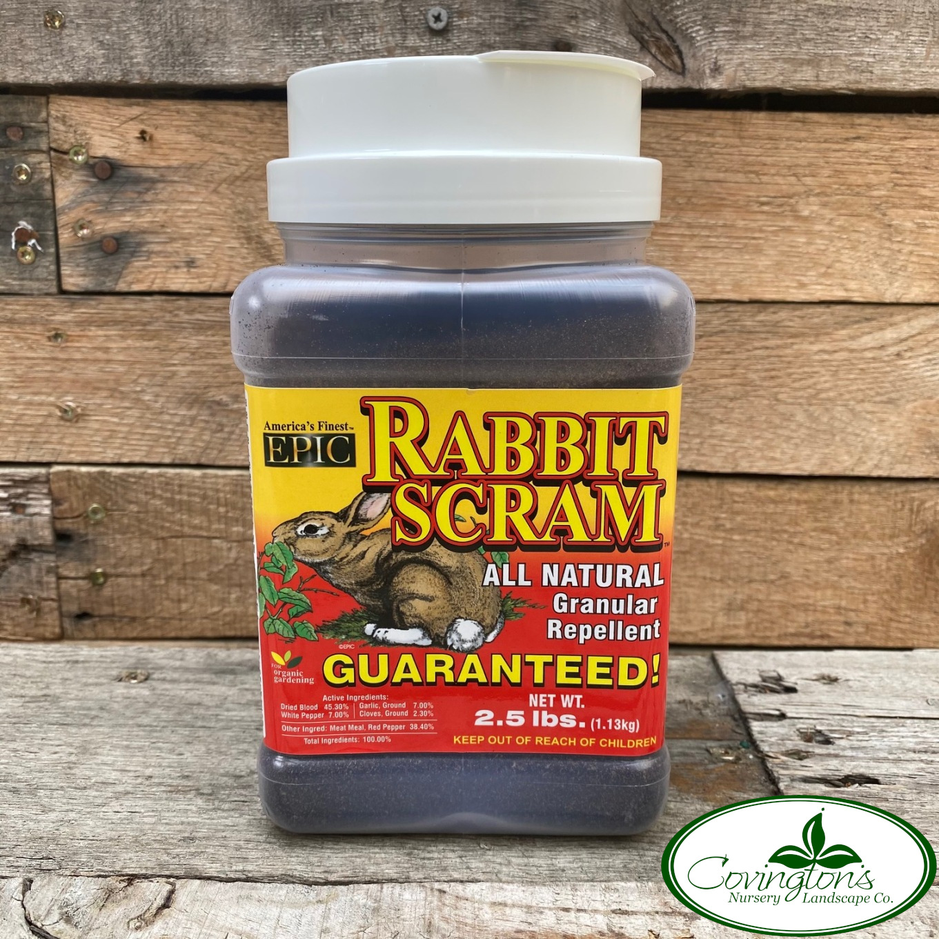 RABBIT SCRAM Covingtons