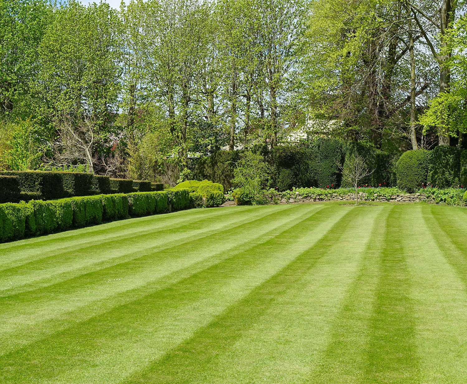 Lawn Care Services Covingtons